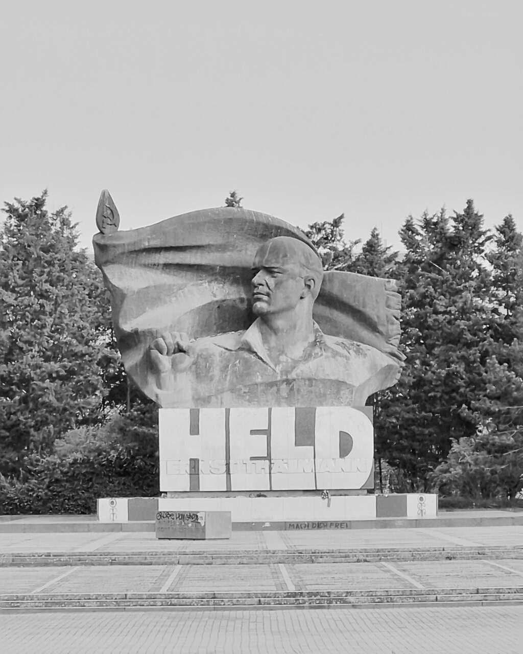 Solidarity_20250819_223519_0000