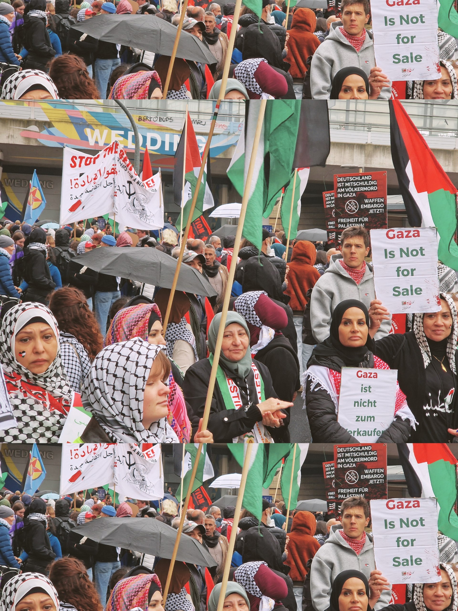 photo_2025-10-12_20-59-30 photo_2025-10-12_20-59-30